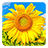 icon Golden Sunflower Live Wallpaper 3.5