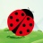 icon Ladybug Catcher 4.0