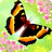icon Flutter 2.66
