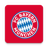 icon FC Bayern 1.3.4
