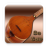 icon Persian Setar 2.1
