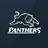icon Panthers 2.7.0