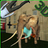 icon Elephant Simulator 1.4