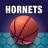 icon Hornets 5.30.0