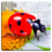 icon Insect Puzzles 17.3