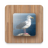icon Bird Puzzle Games Free 2.23