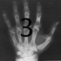 icon MANUAL RADIOLOGIA 3