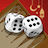 icon Backgammon Plus 4.25.0