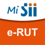 icon e-RUT