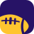 icon Vikings Football 8.4