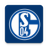 icon Schalke 04 1.9.28