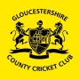 icon Glos Cricket