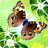 icon Flutter 2.74