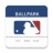 icon Ballpark 9.5.0