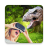 icon VR Videos 1.0.6