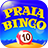 icon Praia Bingo 28.13.1
