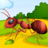 icon Ants Race 0.8.40
