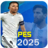 icon PES DRIM 2025 8