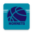 icon Charlotte Hornets 7.7.0
