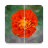 icon Video quality enhancer & editor 2.0