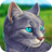 icon Cat SimulatorAnimal Life 1.0.1.6