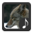 icon Coyote Sounds 3.0.0