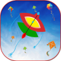 icon Kite Flying Basant FestivalIndia Pak Challenge