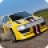 icon Rally Fury 1.73