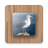 icon Bird Puzzle Games Free 2.26