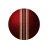 icon live cricket score 1.1