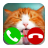 icon Fake Call Cat Game 2 3.0