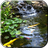 icon Pond with Koi Video Wallpaper 3.0