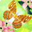 icon Flutter 2.71