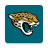 icon Jaguars 21.11.566