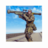 icon Modern Flag Forces New Shooting Games 1.42