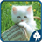 icon Cats Jigsaw Puzzles 1.6.8