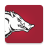 icon Arkansas Razorbacks 173.2.0