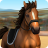 icon ShowJumping 3.5.3062