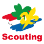 icon Scouting for Celkon Diamond 4G Plus