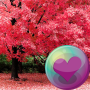 icon Pretty Pink Color HD Wallpapers