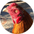 icon com.birddev.kaichon 1.6