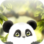 icon Panda Chub Live Wallpaper 