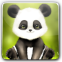 icon Panda Bobble Head Live Wallpaper 