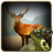 icon Deer Jungle Hunter 1.2