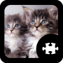 icon Cats & Kittens Puzzle