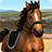 icon ShowJumping 3.1.2680