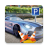 icon Parking King 3D 1.0.2