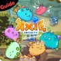 icon Axie Infinity gameScholarship Guide