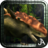 icon Dinosaur Safari 20.7.1