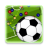 icon Football Board 5.3